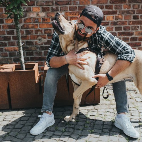 Hunter®  Hundegeschirr Aalborg 30% Rabatt